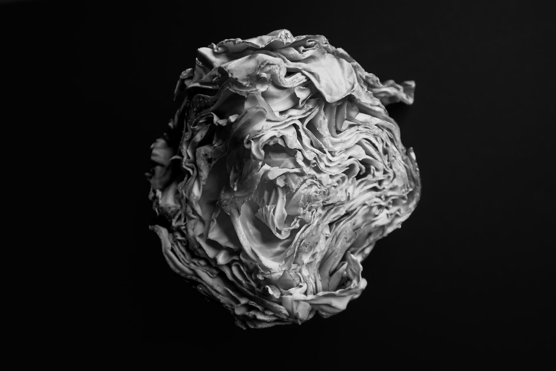 Portfolio photograph 246
