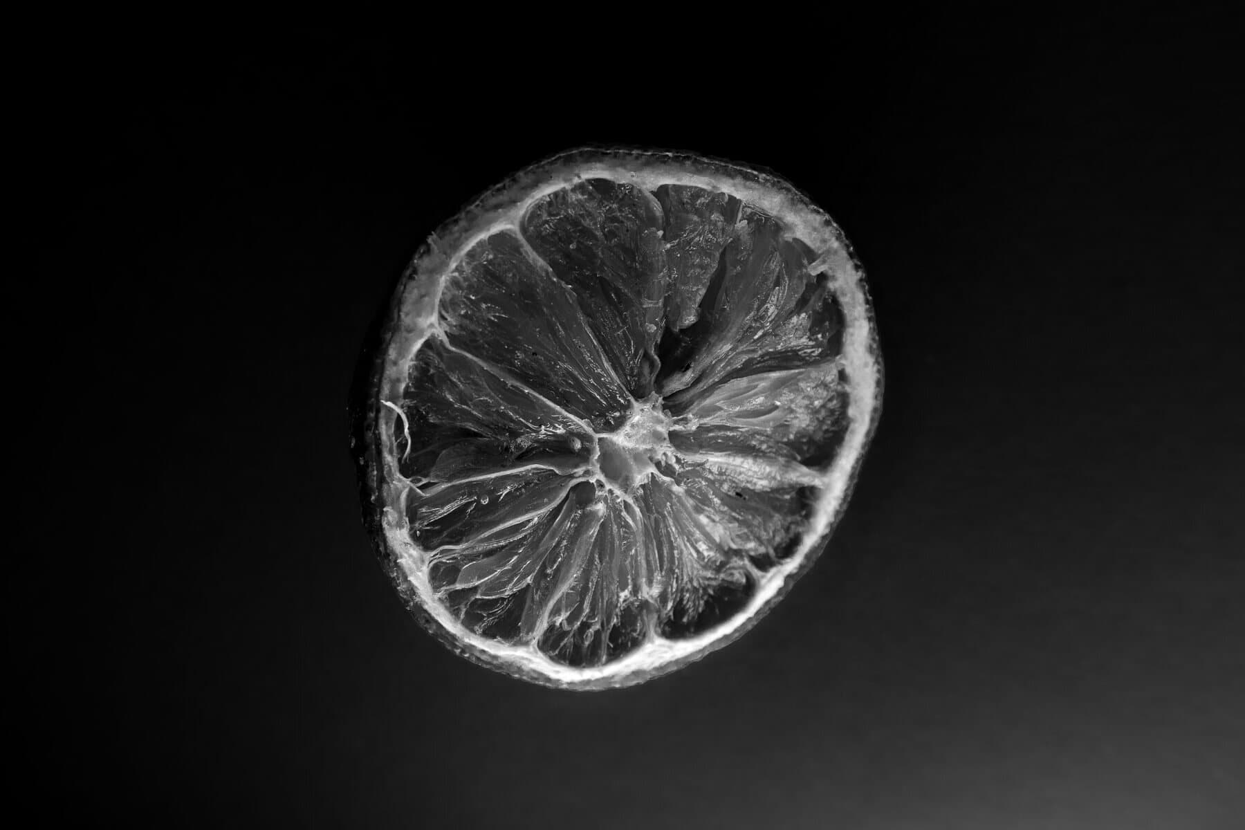 Portfolio photograph 247